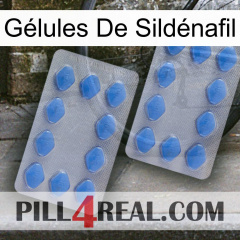 Gélules De Sildénafil 20